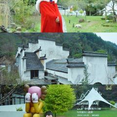 黄山魔宿·厢居集装箱野奢民宿·餐饮 User Photo