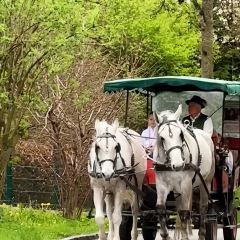 Konditorei Zauner User Photo