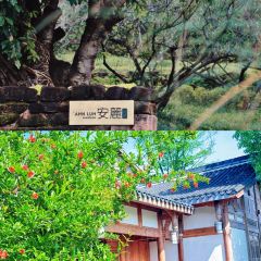 Ahnluh Guantang · All-Day Restaurant User Photo