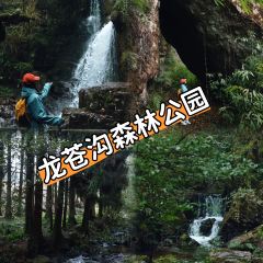 荥经龙苍景园民宿(龙苍沟国家森林公园店)·农家乐 여행 사진
