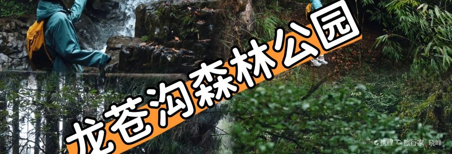 荥经龙苍景园民宿(龙苍沟国家森林公园店)·农家乐