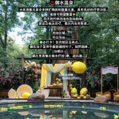 紫藤园·天目湖大鱼头(南山竹海店) User Photo