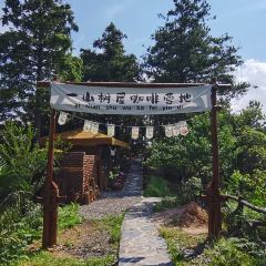一山树屋咖啡营地 User Photo