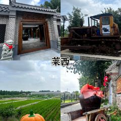 味为先豆腐脑(嘉定路店) User Photo