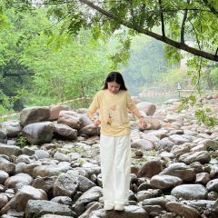 holymen后门儿咖啡店 User Photo