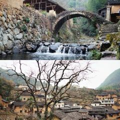 松阳记忆 User Photo