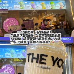 百盛怪味鱼(嘉华鑫城店) User Photo