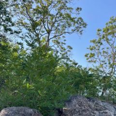 黃栗樹生態美食土菜館張用戶圖片