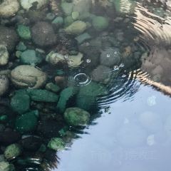 王氏凉糕(总店) User Photo