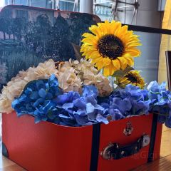 VanGogh Fans Café User Photo