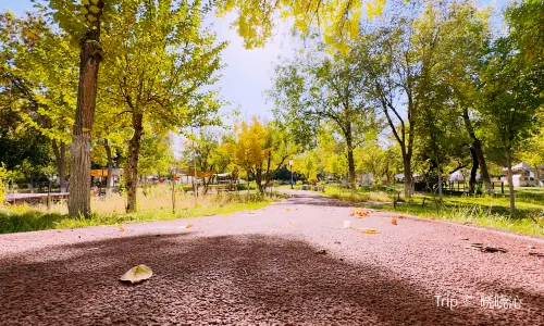 잉어산(이어산) 공원