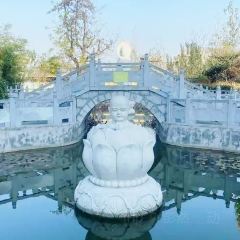 九里羊汤馆(鼓楼园林店) User Photo