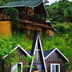 申记臭豆腐煮鱼(五一步行街店) User Photo