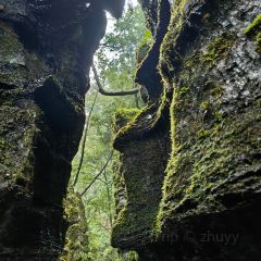 重庆老厨房(白帝城店) User Photo