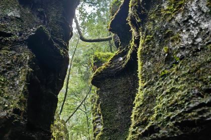 重庆老厨房(白帝城店)