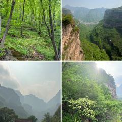 桃花嫂子 User Photo