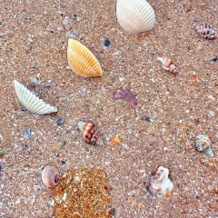 老四海鲜家常菜(中山西路店) User Photo