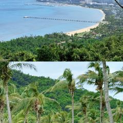 Ms·lin Sea Food User Photo