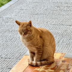 KaigeHuoguo User Photo