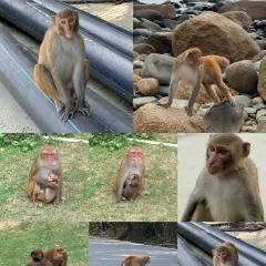 徐福记湛江烤生蚝 User Photo