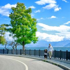 心邸咖啡張用戶圖片