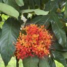 Yunduantaiyang 惠勝酒店優惠