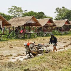 Manamae Garden Restaurant User Photo