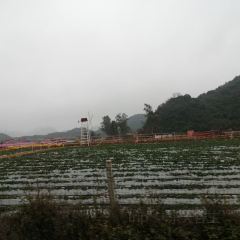普者黑撒尼客栈·仙人洞村撒尼客栈餐厅 User Photo