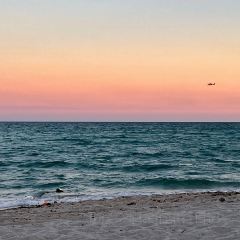 Nikki Beach Miami ảnh của người dùng