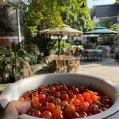 天福美院·老厂酒菜馆(天福街店) User Photo