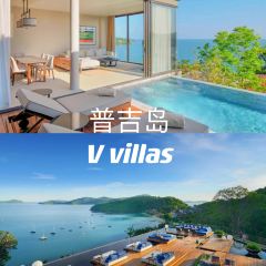 Akoya | Star Lounge User Photo