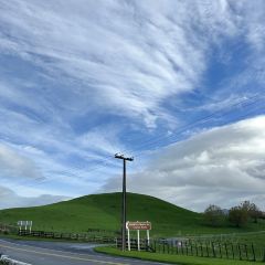 The Shire's Rest Cafe User Photo