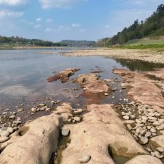 江从明巴适蒸笼 User Photo