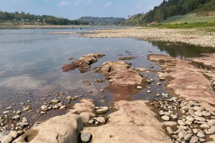 江从明巴适蒸笼