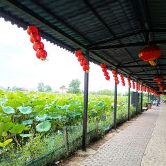 潘铺生态休闲农庄 User Photo