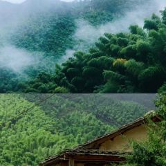 一茶一坐农庄 User Photo