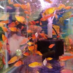 肯德基(大唐大润发店) User Photo
