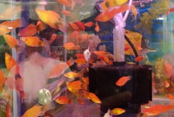 肯德基(大唐大润发店) User Photo