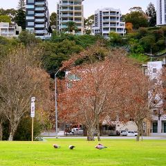 Fraser's Restaurant User Photo