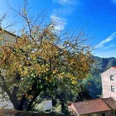 北山淩英手擀麵張用戶圖片