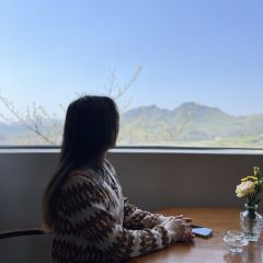 青芷森林·咖啡店 User Photo