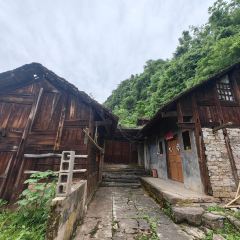 君健農家張用戶圖片