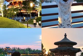 王晓策驴火(容城店) User Photo