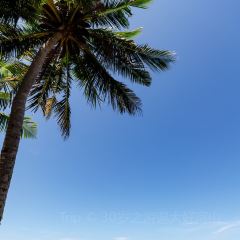 ZING Sunset Bar User Photo