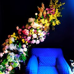 月淮星光 User Photo