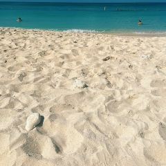The Cracked Conch by the Sea User Photo