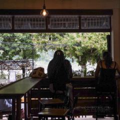 Saffron Coffee's Espresso, Brew Bar, & Roastery User Photo
