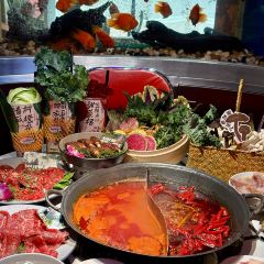 朱光玉火锅馆(绵阳万达店) User Photo