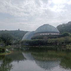 小隱圍屋張用戶圖片