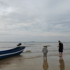 Starry User Photo